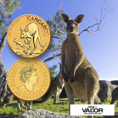 Zwei Goldmünzen mit Kängurus auf der Vorderseite und mit dem Porträt von Königin Elizabeth II auf der Rückseite.  Im Hintergrund sind Kängurus zu sehen. 